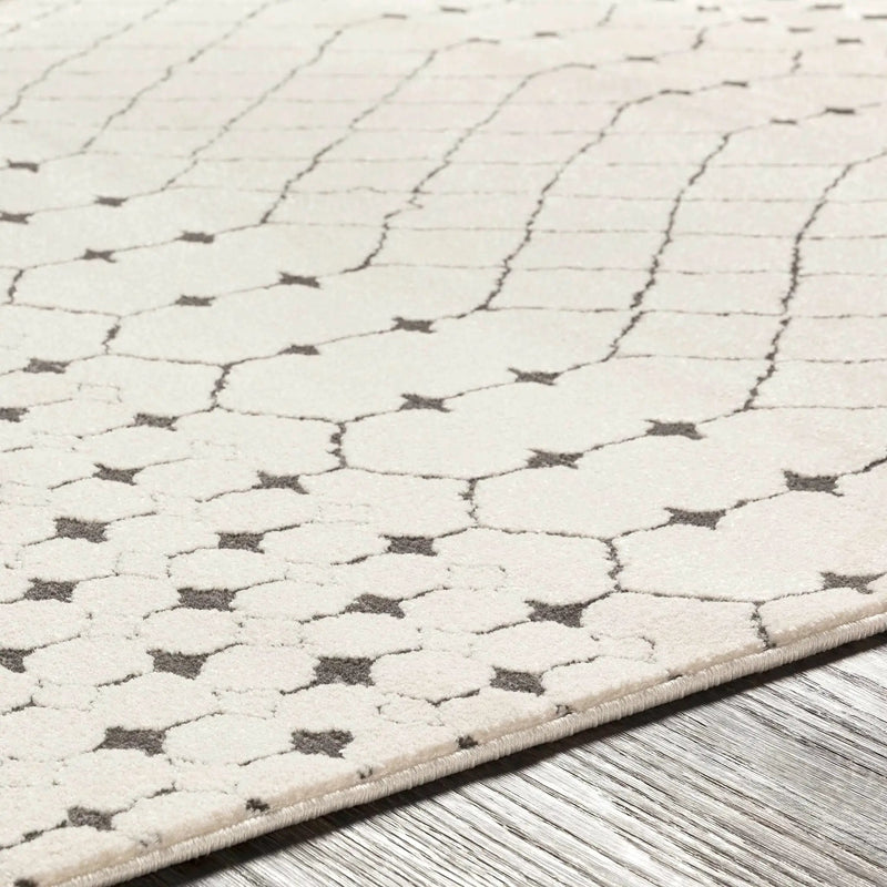 Chubbuck Moroccan Trellis Rug - Clearance by Boutique Rugs
