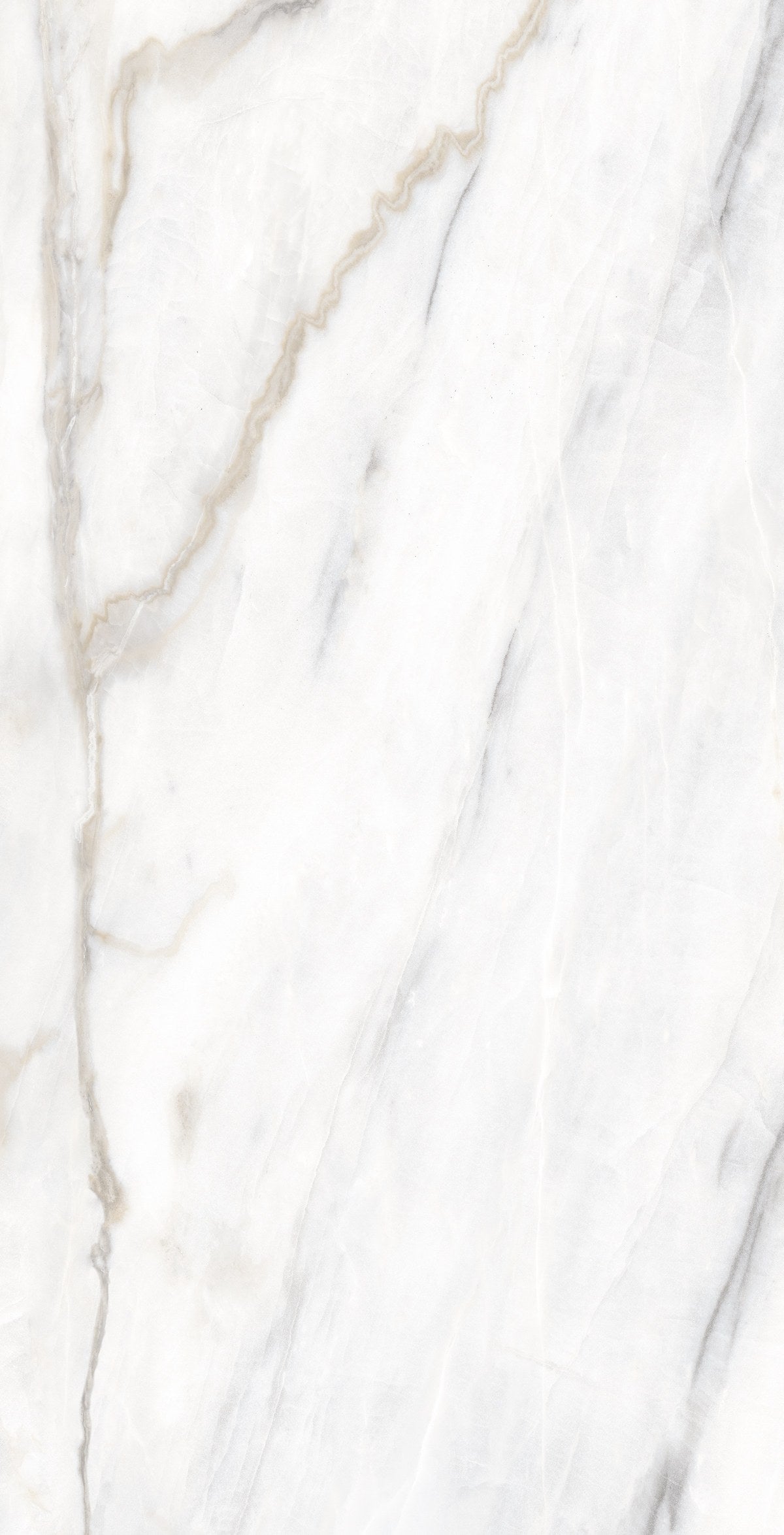 Classic Boutique Calacatta Bluette Natural Marble Look Porcelain Tiles 24x48 close up