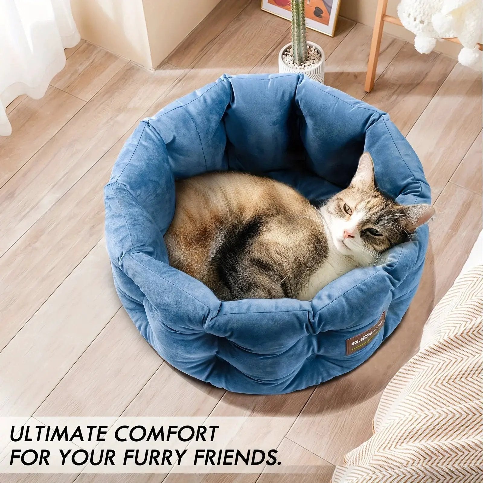 ClevaHome Deep Nest Cat Bed for Small Pets up to 15lbs - Round Cat Beds for Indoor Cats, Luxurious Velvet Feel, Extra High Sides, Machine Washable Comfort Pet Bed with Non-Slip Bottom by House Of Avana