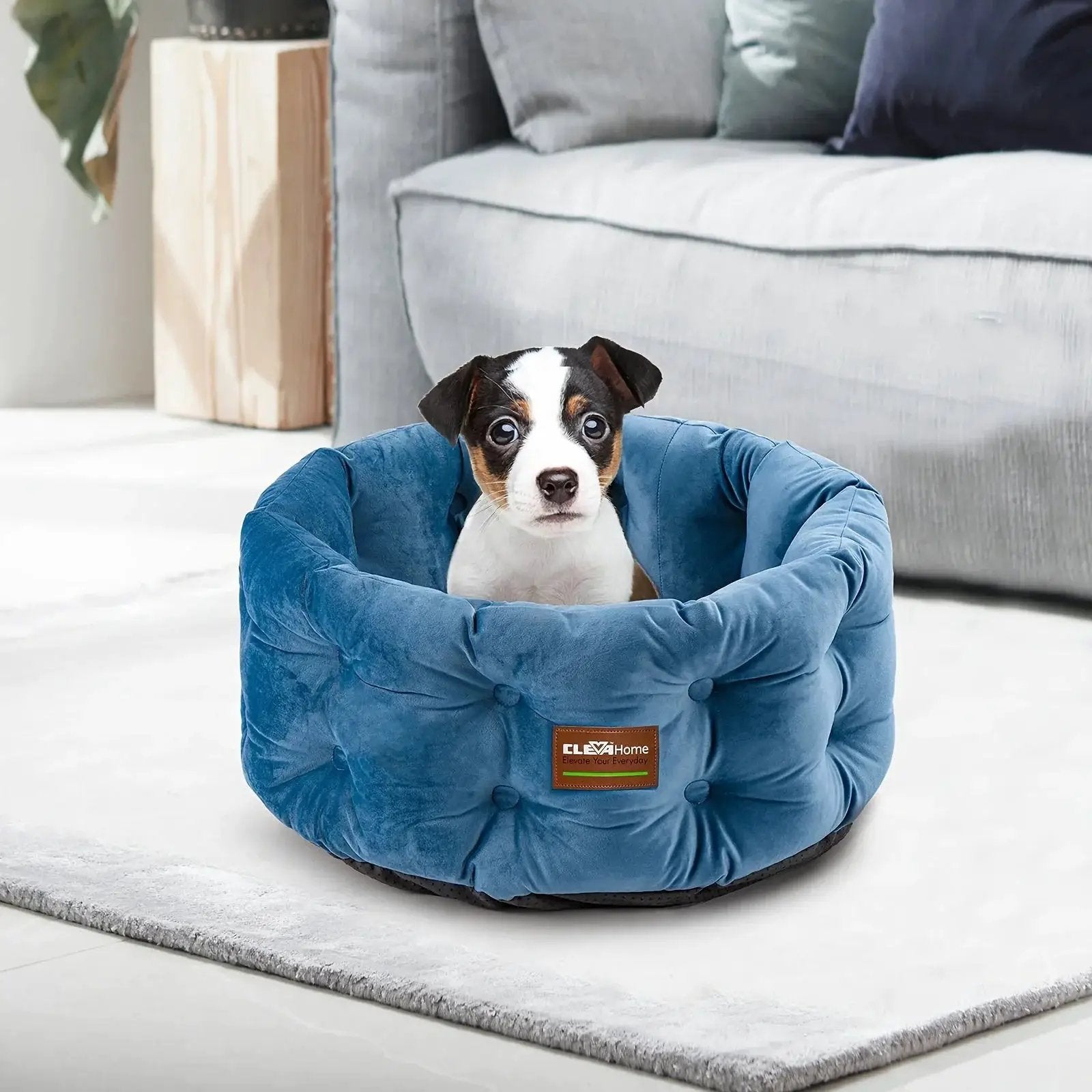 ClevaHome Deep Nest Cat Bed for Small Pets up to 15lbs - Round Cat Beds for Indoor Cats, Luxurious Velvet Feel, Extra High Sides, Machine Washable Comfort Pet Bed with Non-Slip Bottom by House Of Avana