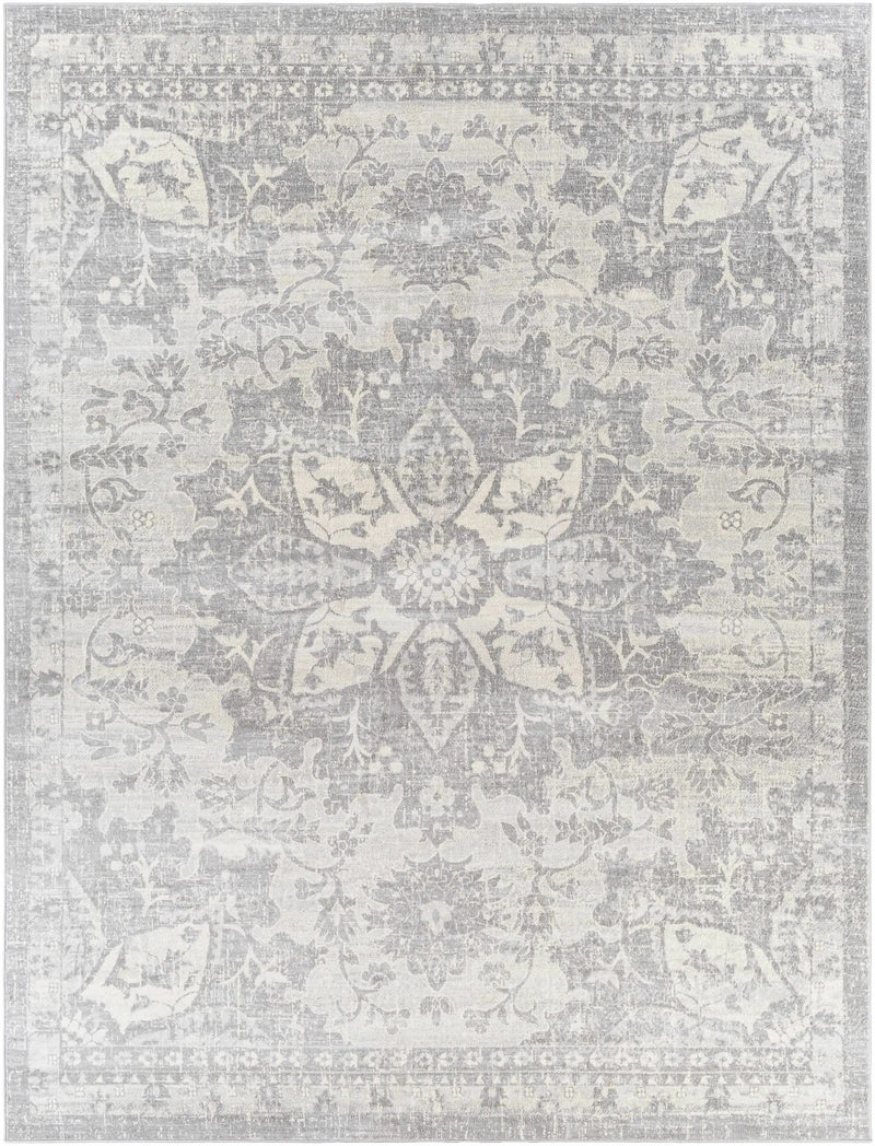 Colonie Area Rug by Boutique Rugs