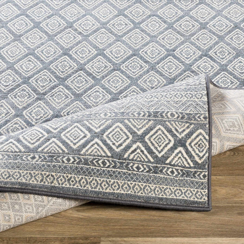 Centertown Area Rug - Clearance by Boutique Rugs