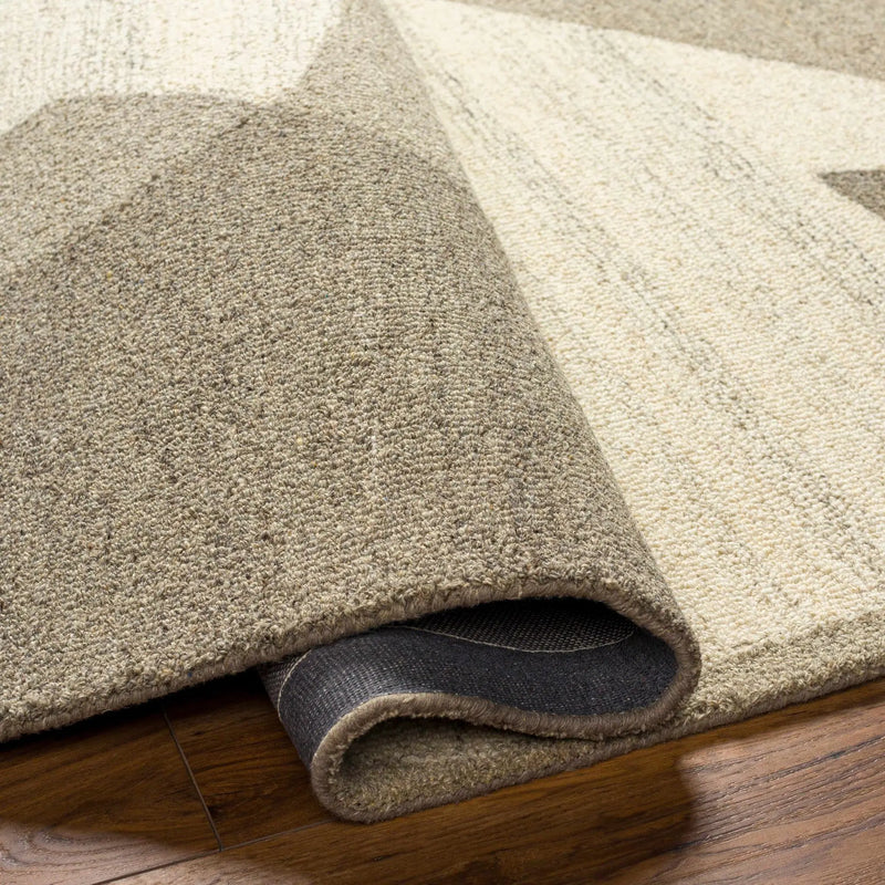 Colin Area Rug by Boutique Rugs