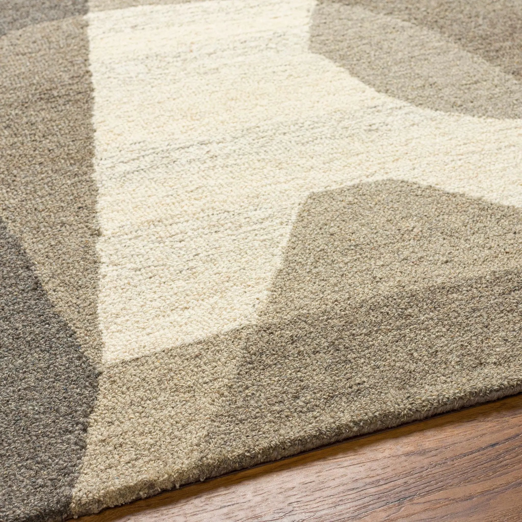 Colin Area Rug by Boutique Rugs