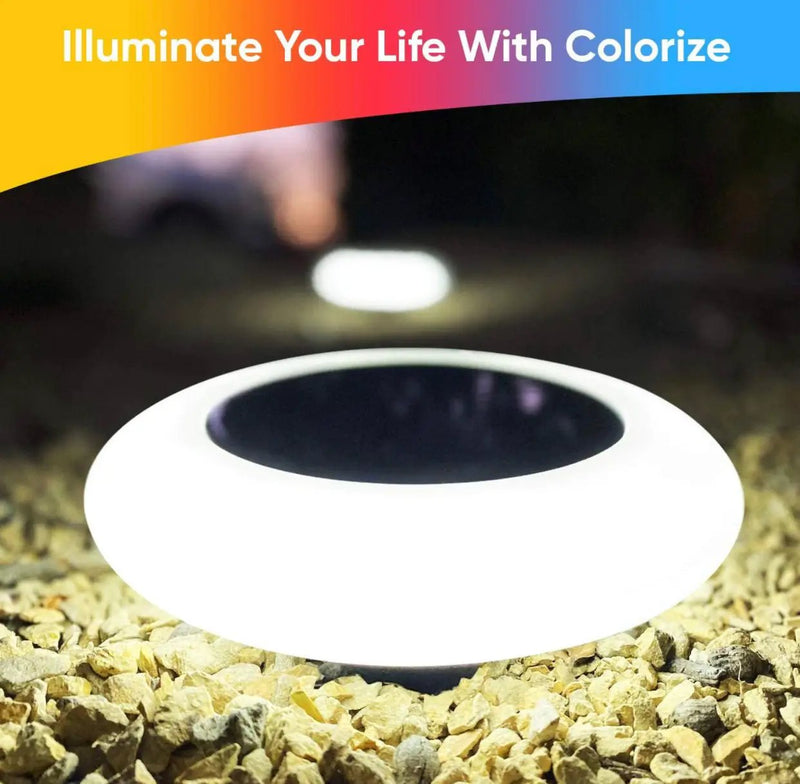 Colorize Solar Lights Color Change Ring Lights In-Ground 6 Pack by Outdoor Solar Outlet