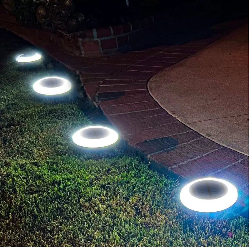 Colorize Solar Lights Color Change Ring Lights In-Ground 6 Pack by Outdoor Solar Outlet