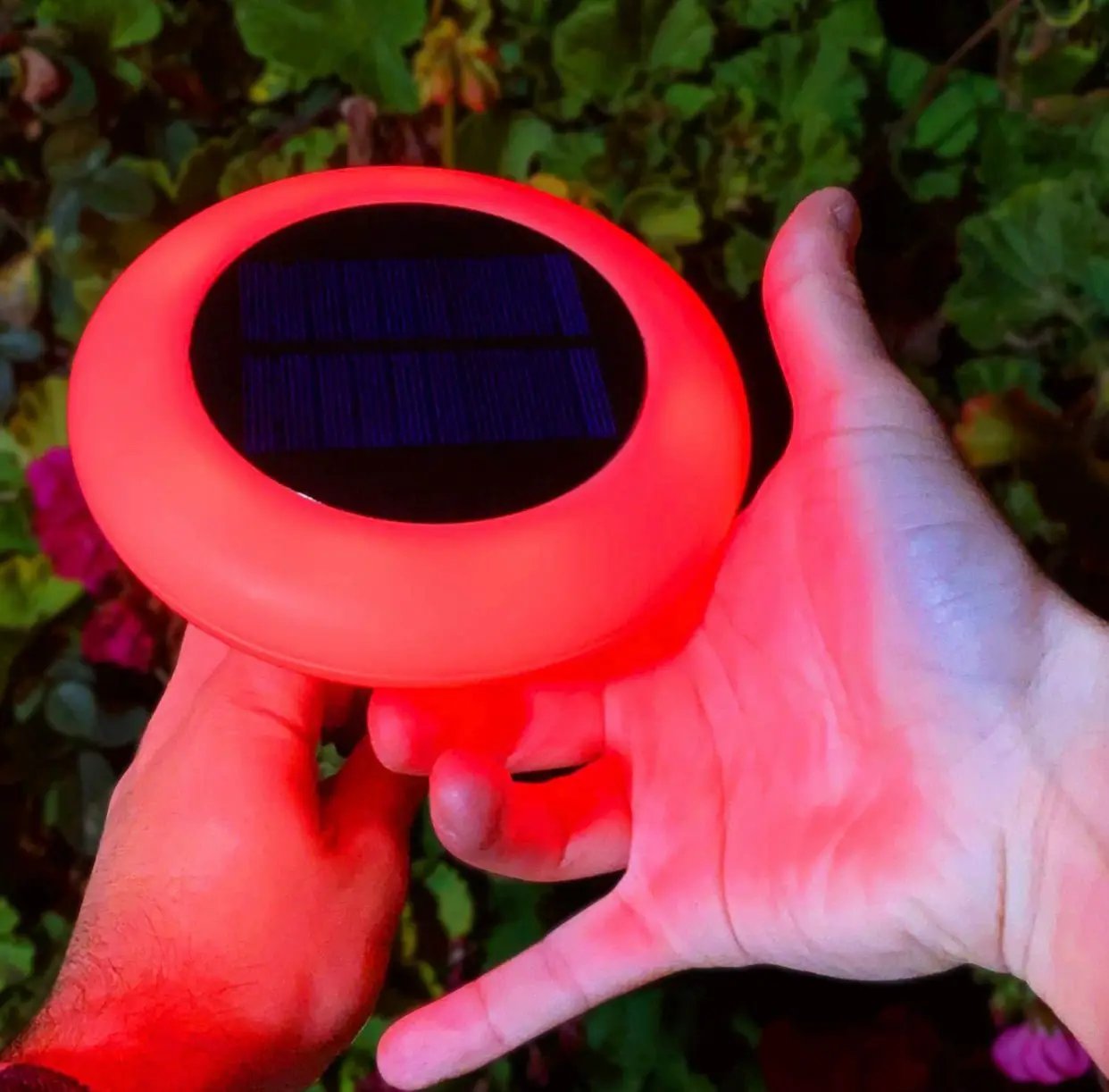 Colorize Solar Lights Color Change Ring Lights In-Ground 6 Pack by Outdoor Solar Outlet