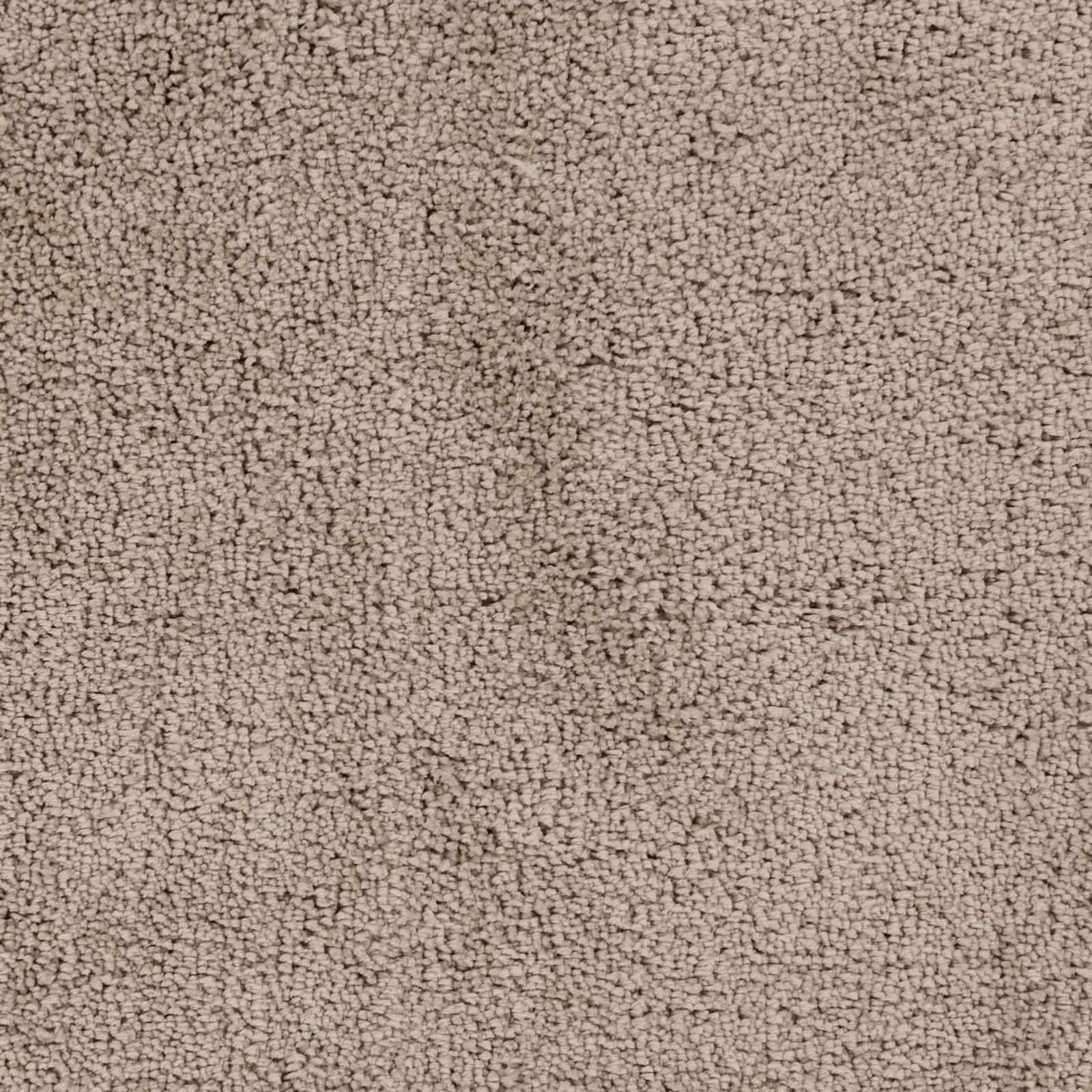 Tingly 2x3 Hand Woven Solid Cream Shag Rug - Clearance by Boutique Rugs