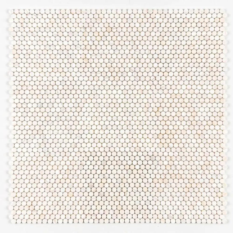 Confetti Honed Penny Round Marble Mosaics 11 1/2x11 1/2 by Stonetiledepot