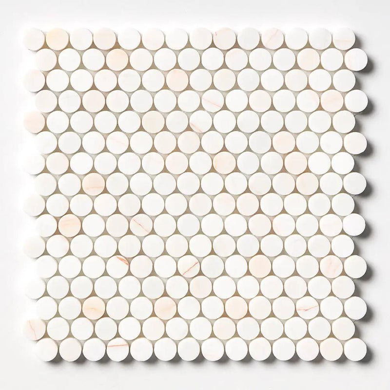 Confetti Honed Penny Round Marble Mosaics 11 1/2x11 1/2 by Stonetiledepot