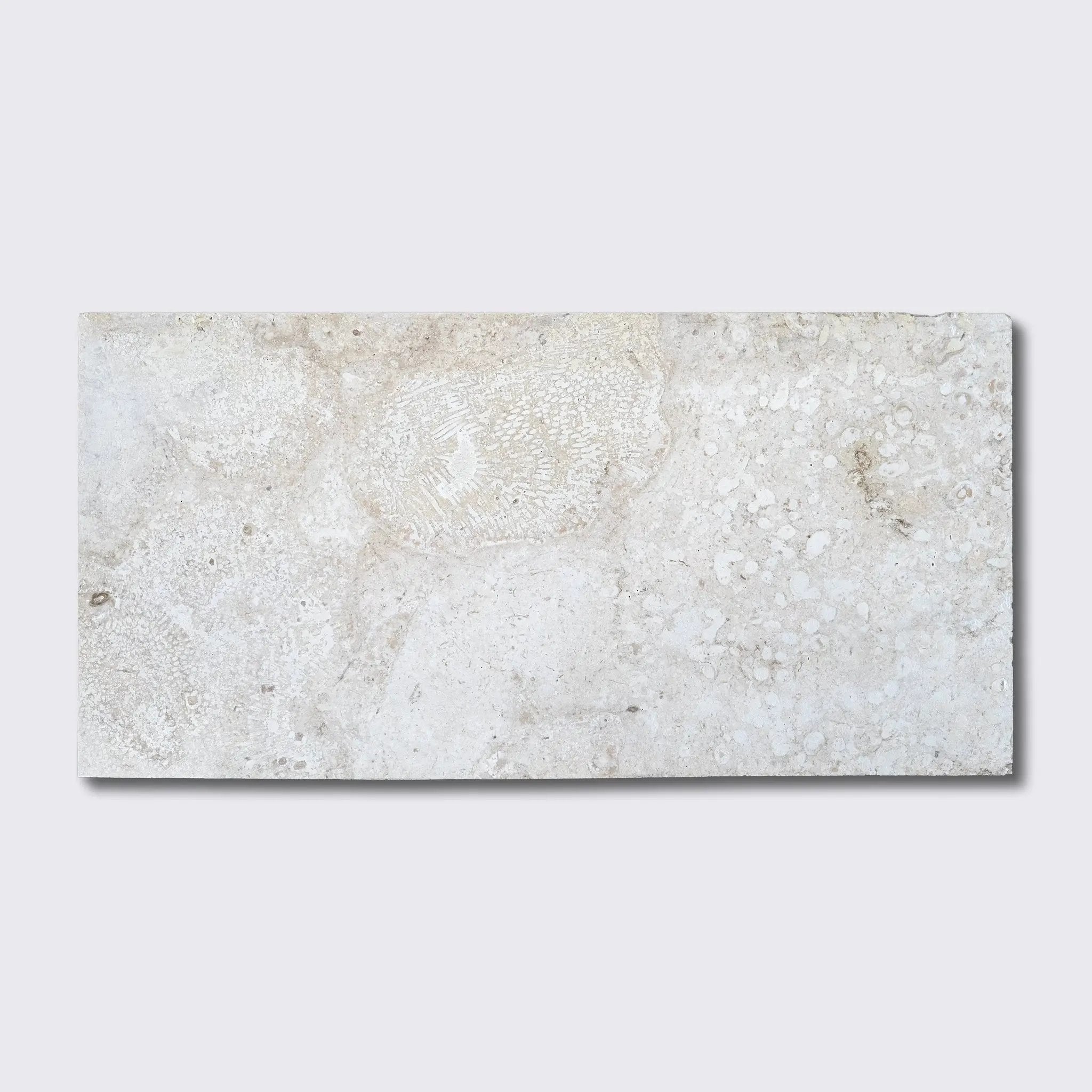 Coral Honed Filled Flute Trim Tiles 12x24 by Stonetiledepot
