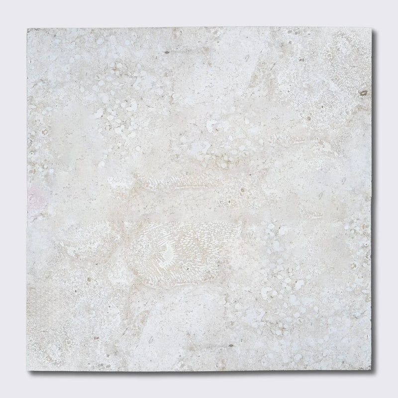 Coral Honed Filled Ion Tiles 24x24 by Stonetiledepot