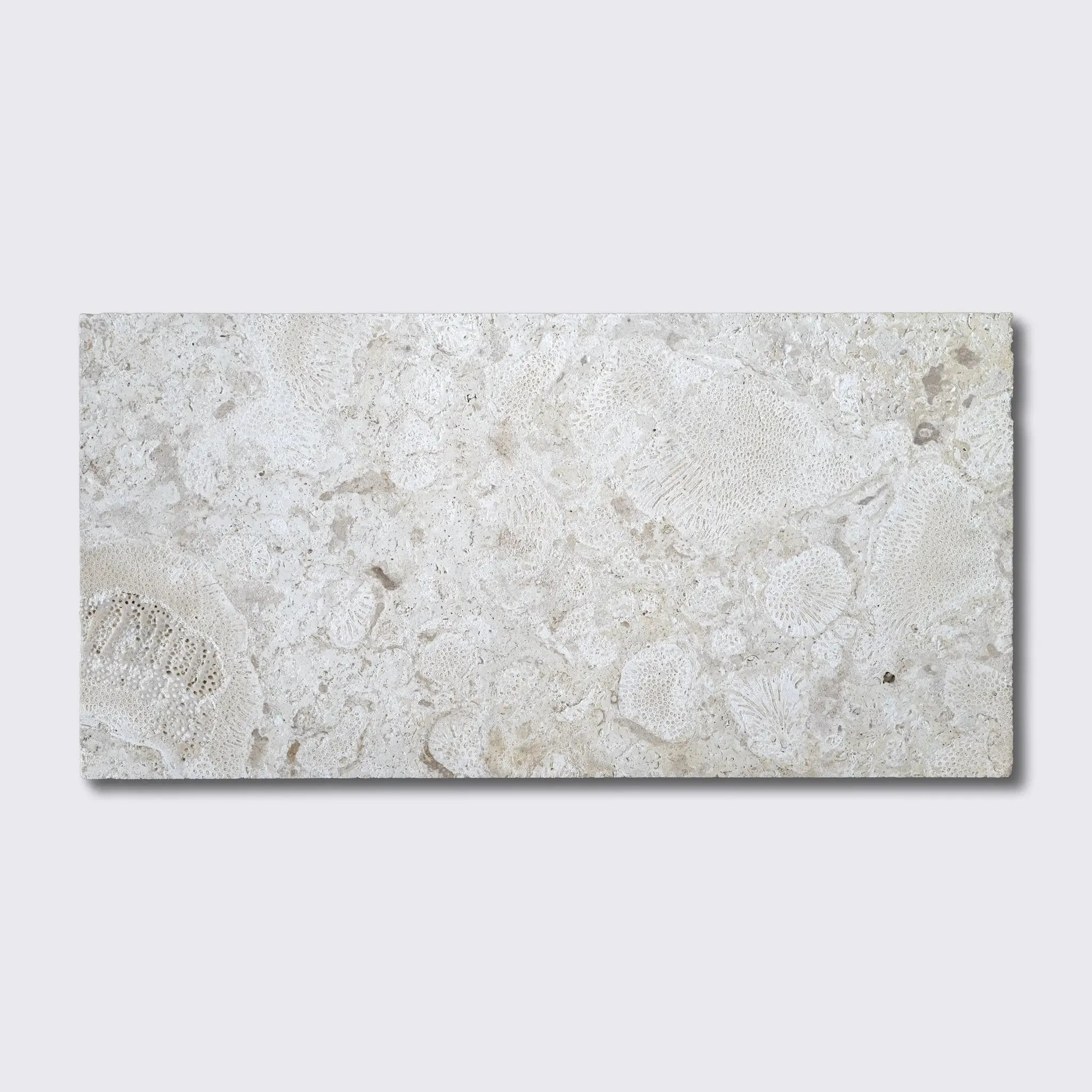 Coral Natural Flute Trim Tiles 12x24 by Stonetiledepot