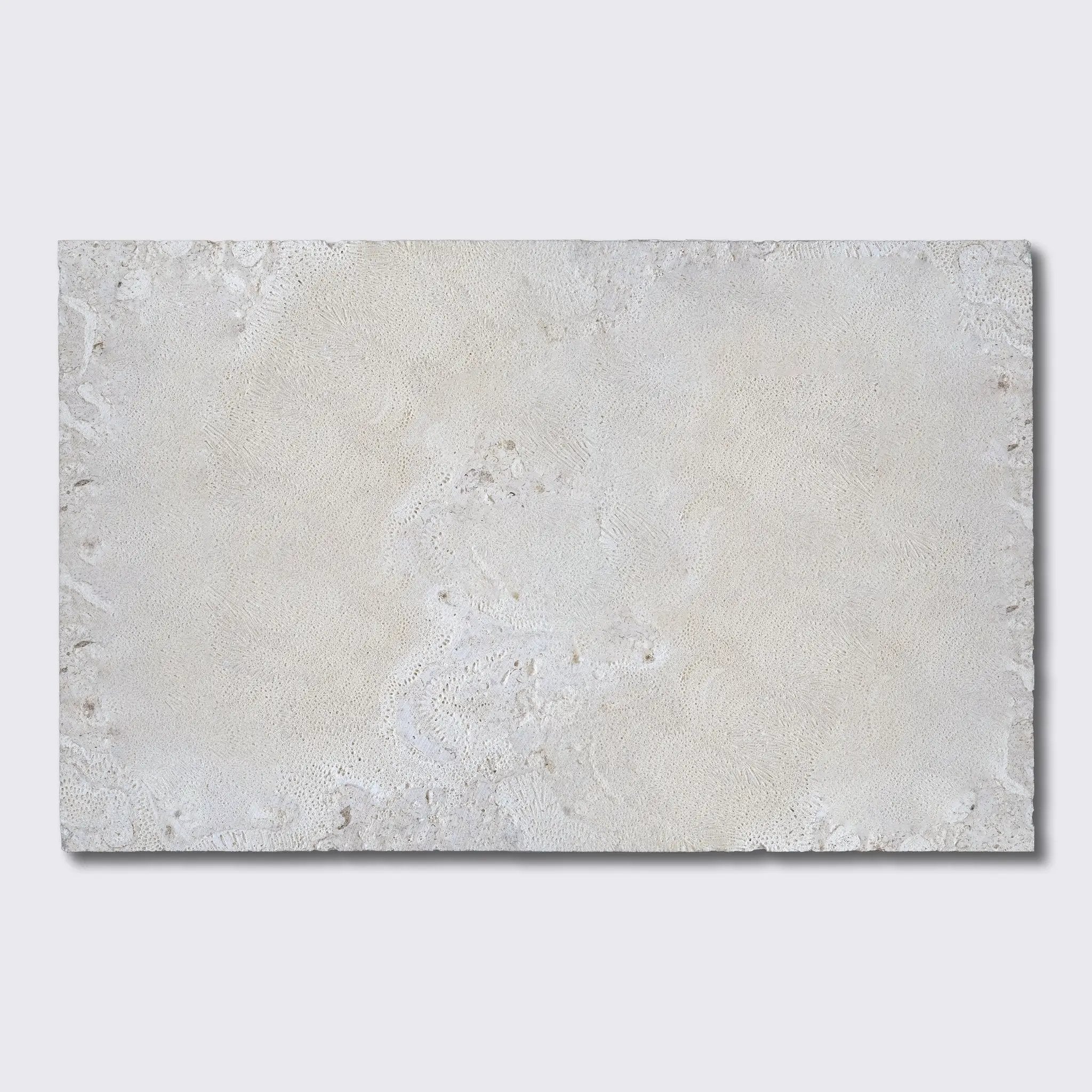 Coral Natural Flute Trim Tiles 18x36 by Stonetiledepot