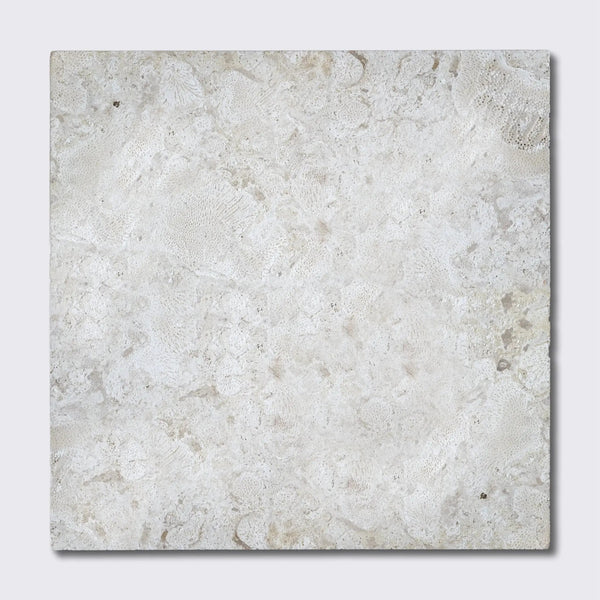 Coral Natural Flute Trim Tiles 24x24