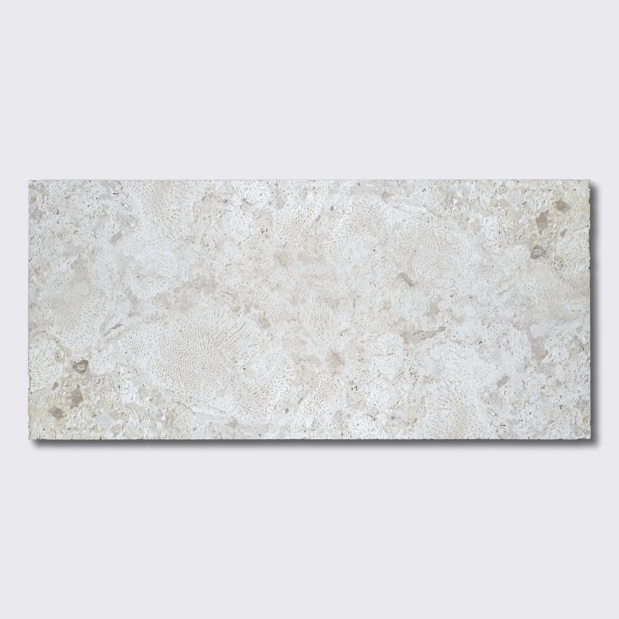 Coral Natural Ion Pavers 12x24 by Stonetiledepot