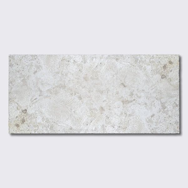 Coral Natural Ion Pavers 12x24