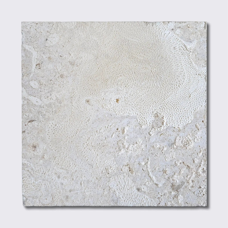 Coral White Natural Tiles 18x18 by Stonetiledepot