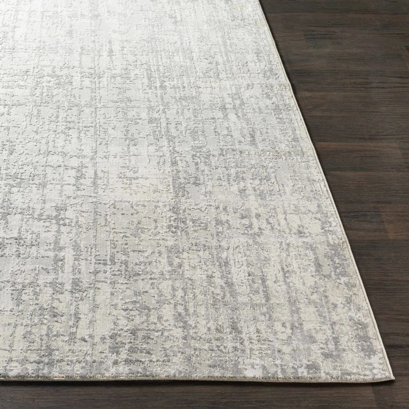 Cozahome Faux Silk Rug by Boutique Rugs