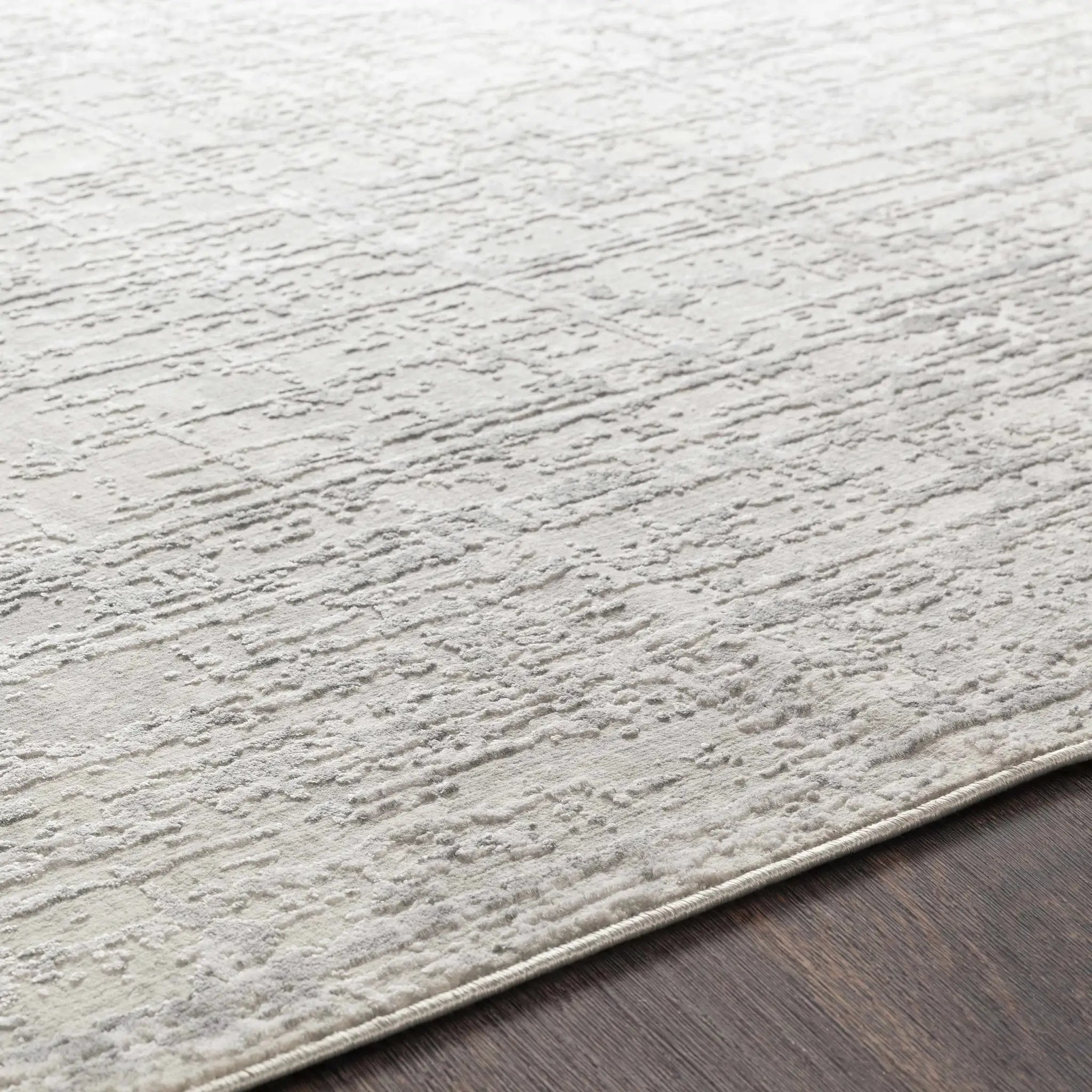 Cozahome Faux Silk Rug by Boutique Rugs