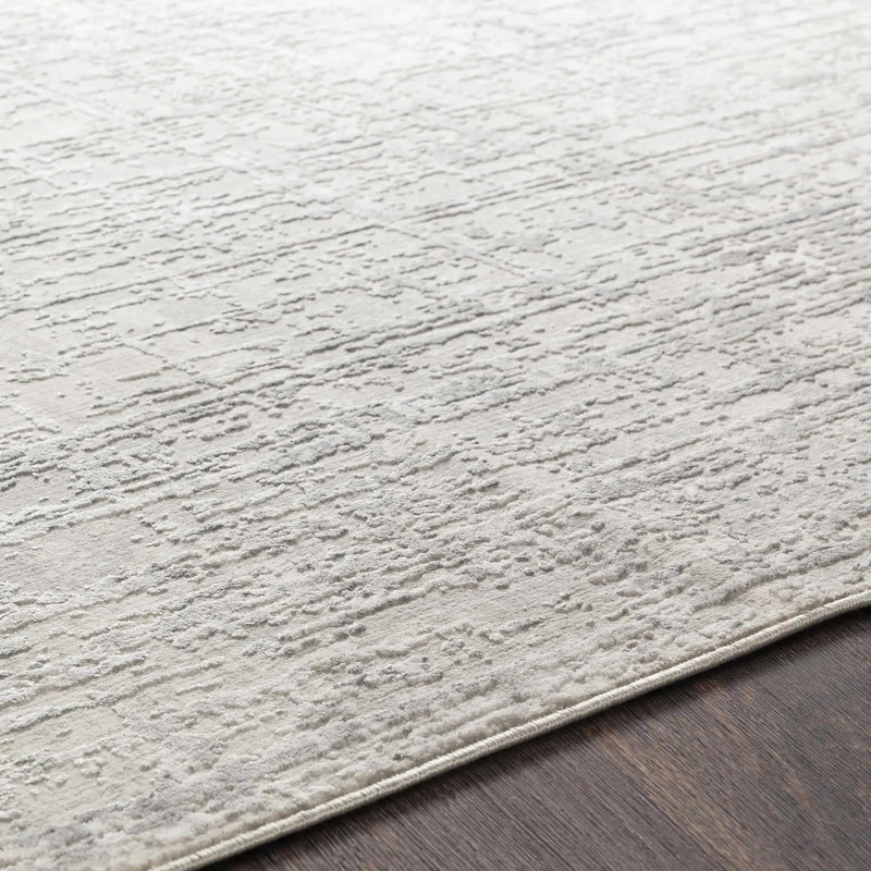Cozahome Faux Silk Rug by Boutique Rugs