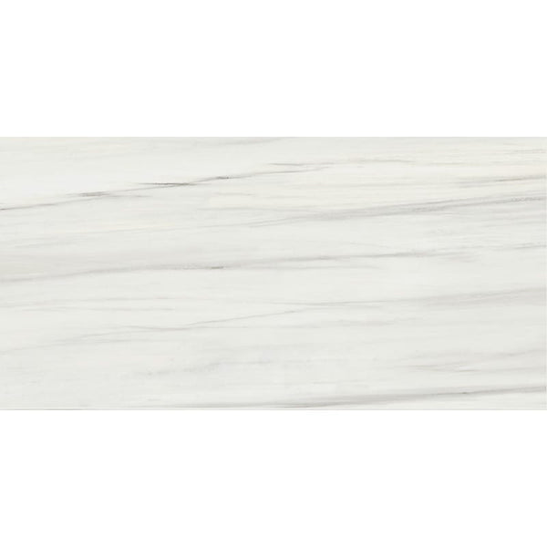 Cs 2.0 Carrara Zebrino Honed 24x48 Rec