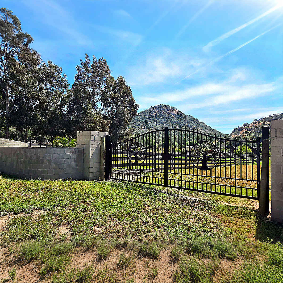 20x8 ft Steel Dual Swing Driveway Gate by Chery Industrial