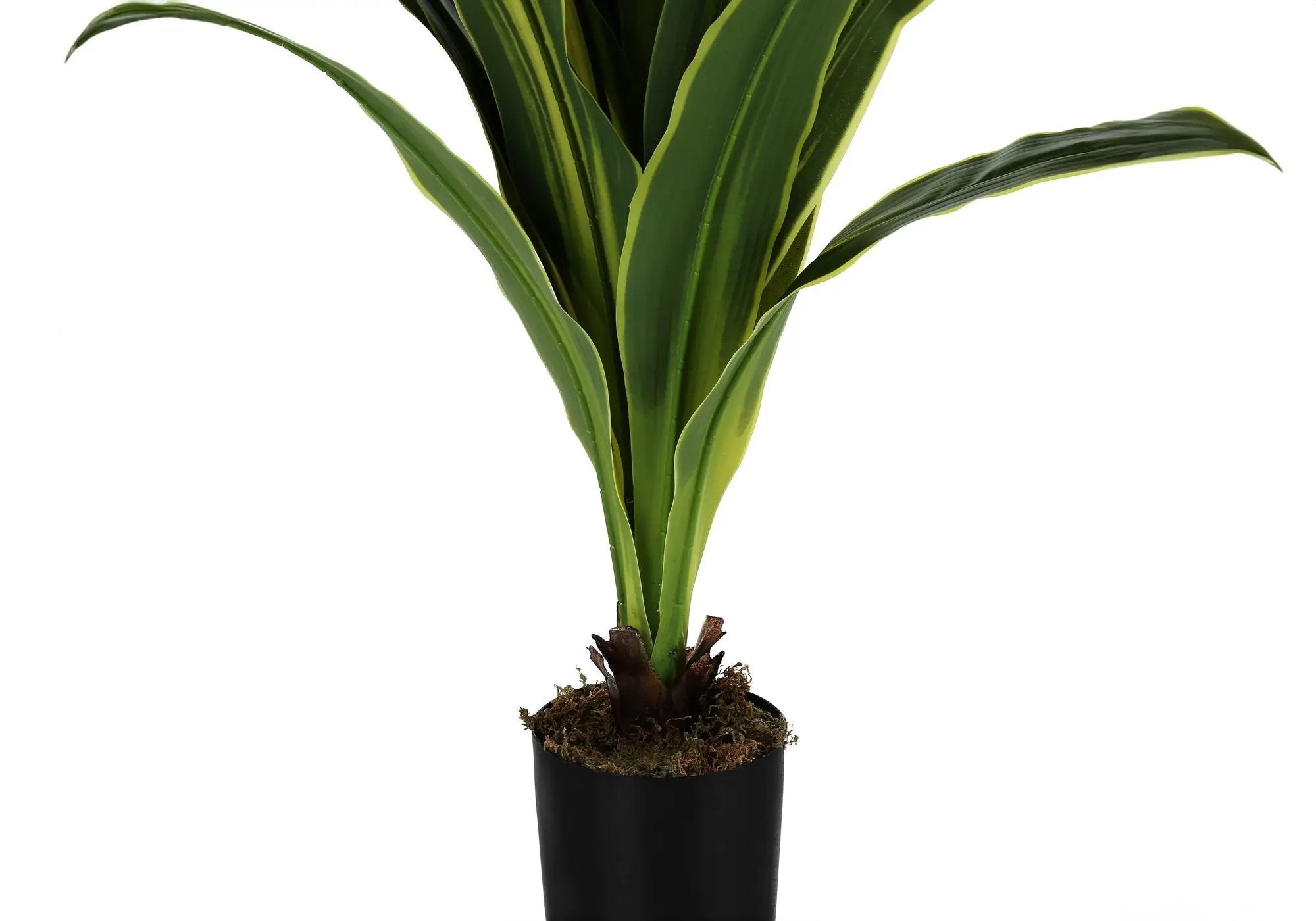 47" Tall, Artificial Plant, Dracaena Tree, Indoor, Faux, Fake, Floor, Greenery, Potted, Real Touch, Decorative - Green / Black by Unique Piece Furniture