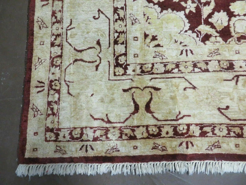 10' X 15' Hand Made Pakistan Wool on Cotton Rug Peshawar # 200A by Jewel Rugs