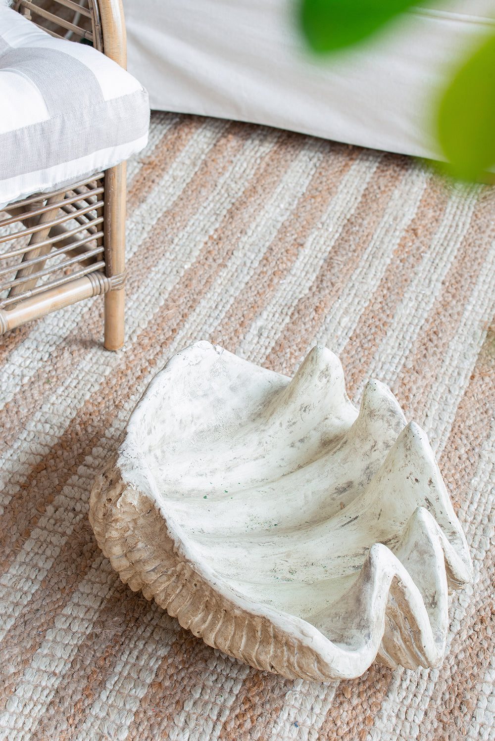 Medium Clam Shell Accent, photo 3 of 10