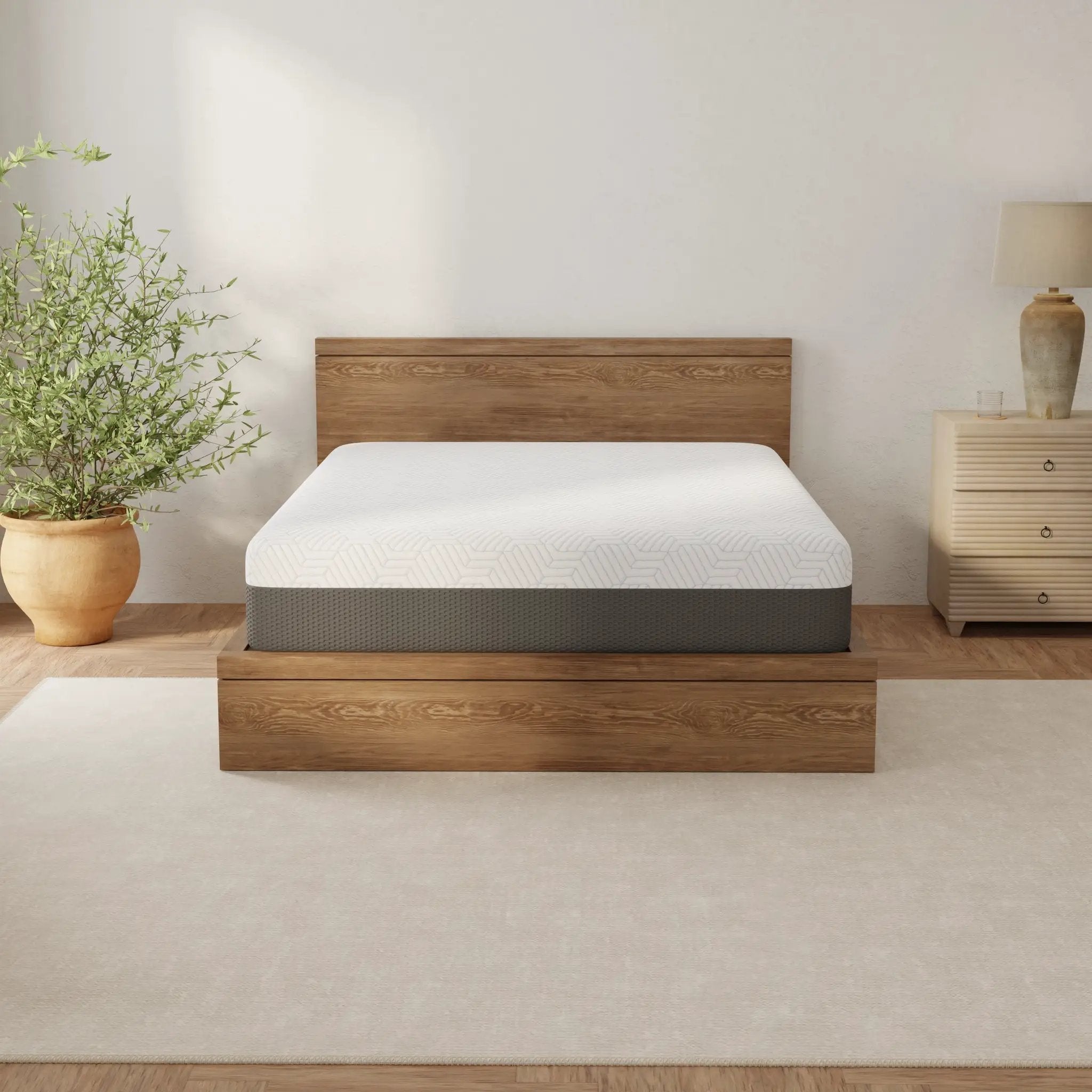 Omne Fria 12 Inch Queen Soft Mattress With Cooling Cover by HouseOfZazla
