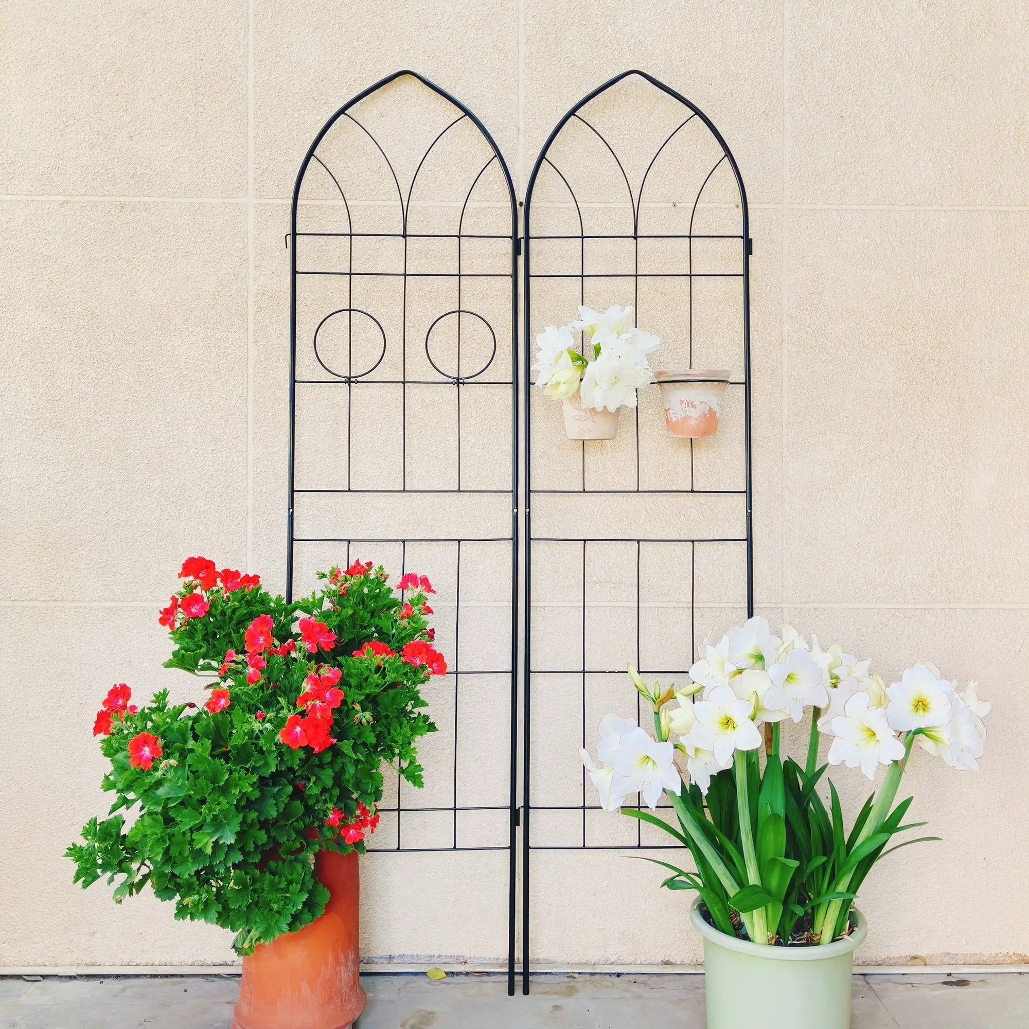 2 Pack Metal Garden Trellis 78.7" x 19.7" by HouseOfZazla