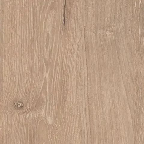 Cielden - Two-Tone - Panel Headboard by Unique Piece Furniture
