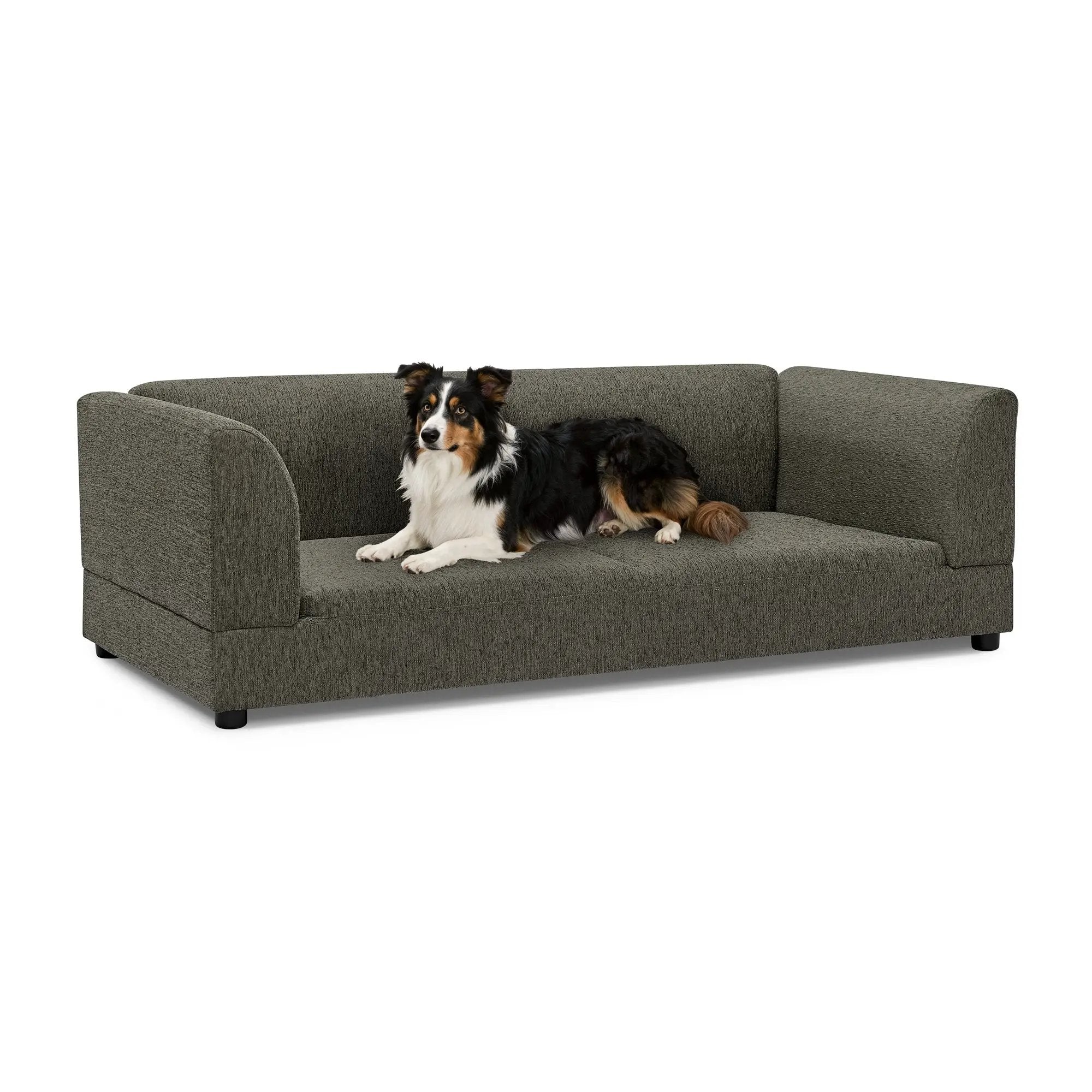 Comfortable Oversized Pet Sofa for Medium/Large Dogs by HouseOfZazla