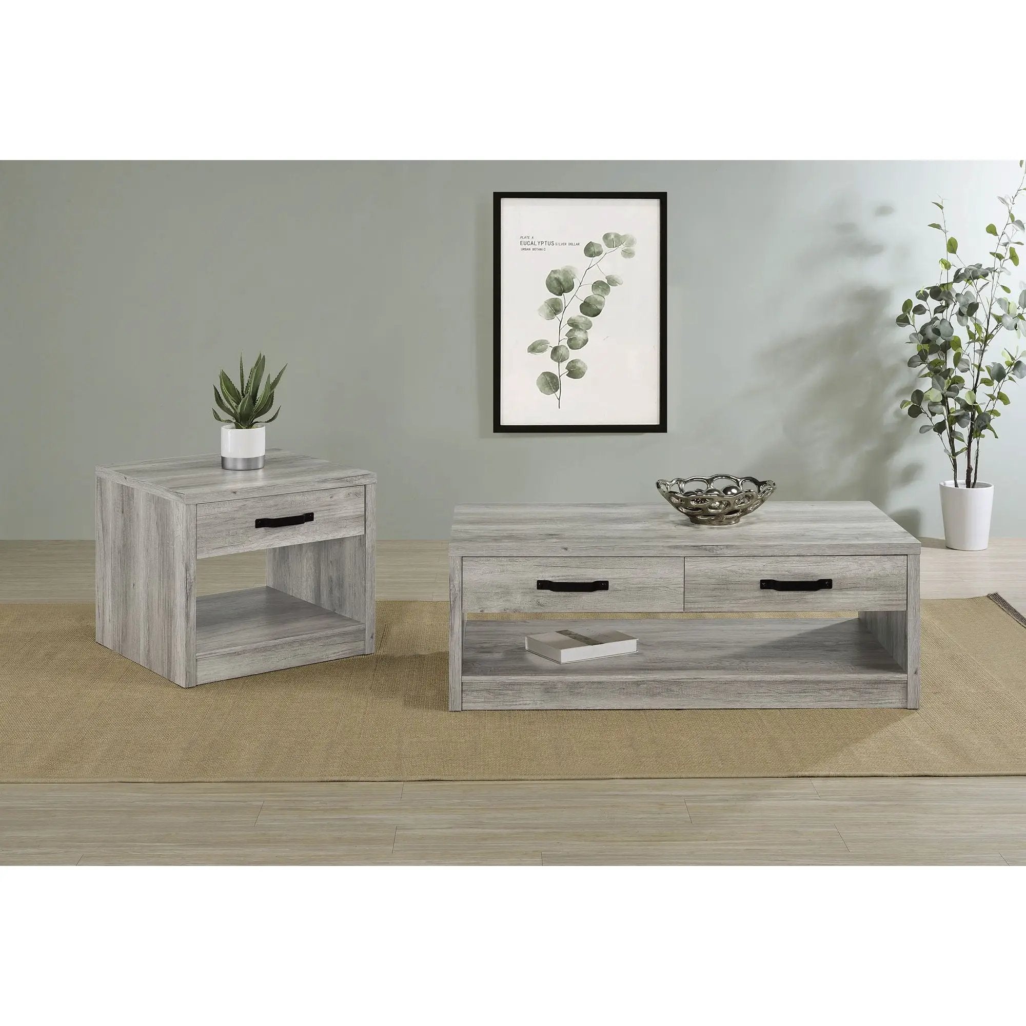 Nuberg - 2 Drawer Coffee Table Rectangular Design - Gray