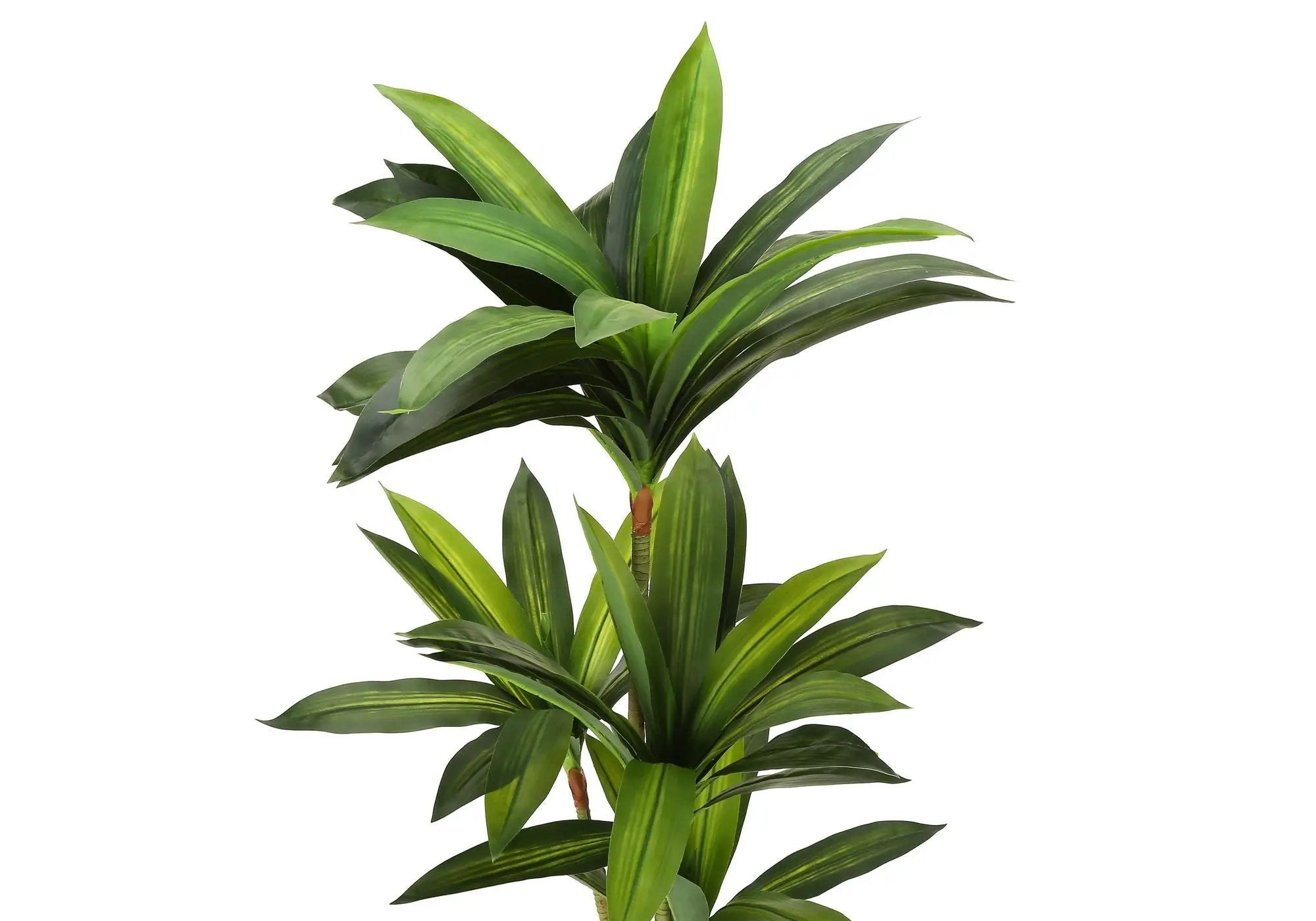 51" Tall Artificial Dracaena Tree by HouseOfZazla