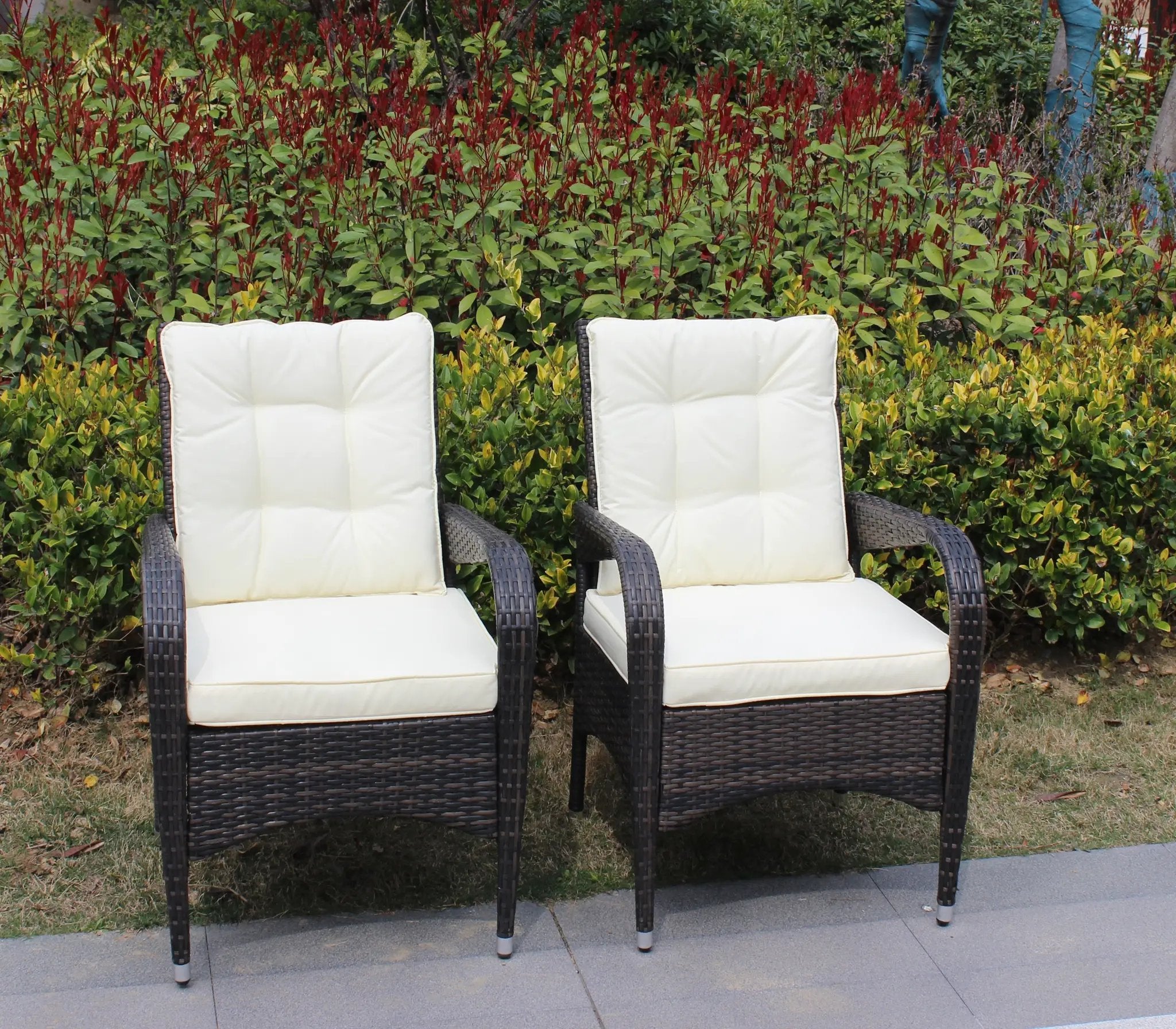 2-Piece Liberatore Dining Chairs with Beige Cushions by HouseOfZazla