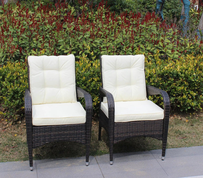 2-Piece Liberatore Dining Chairs with Beige Cushions by HouseOfZazla