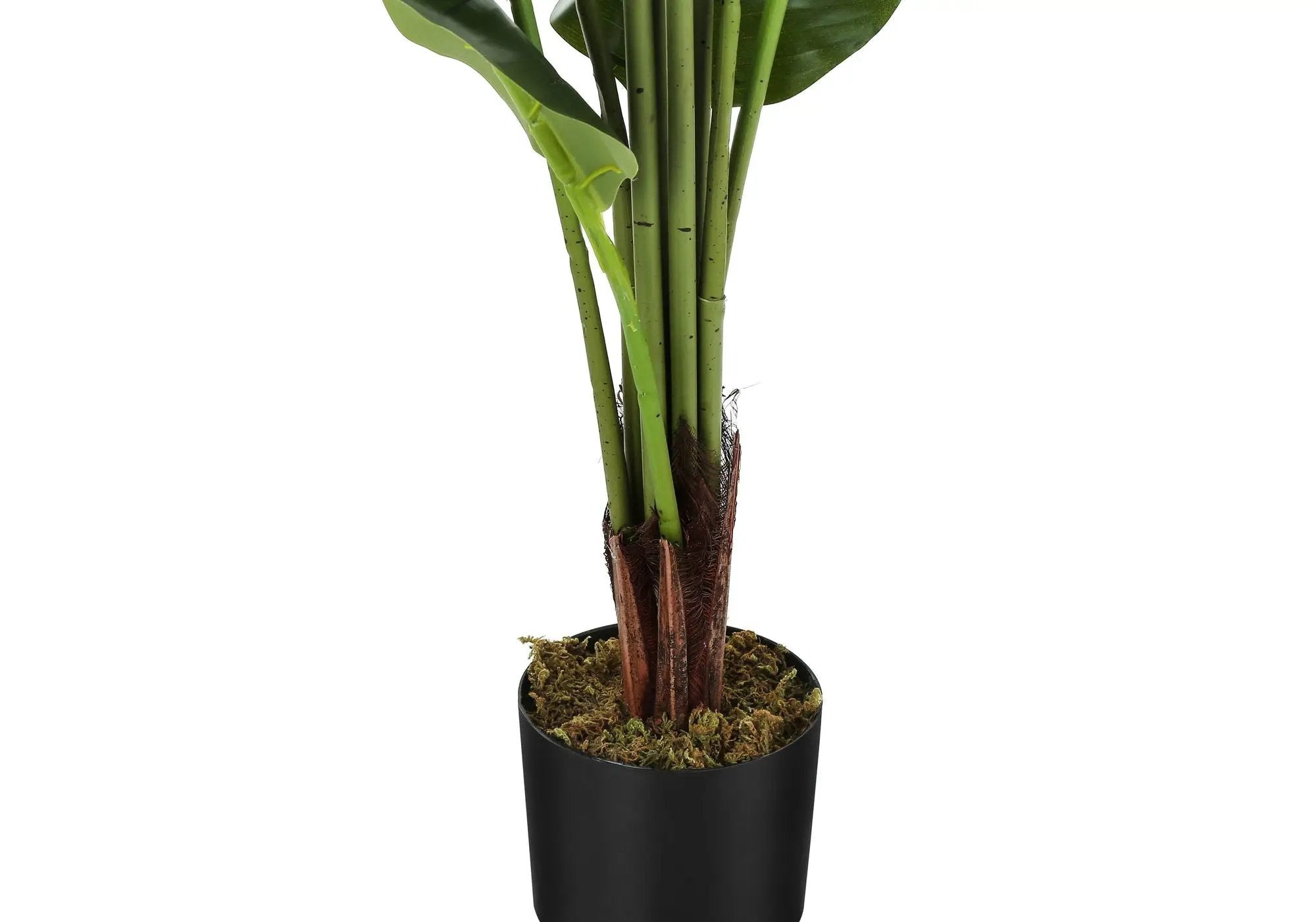 59" Tall, Artificial Plant, Strelitzia Tree, Indoor, Faux, Fake, Floor, Greenery, Potted, Real Touch, Decorative - Green / Black by Unique Piece Furniture