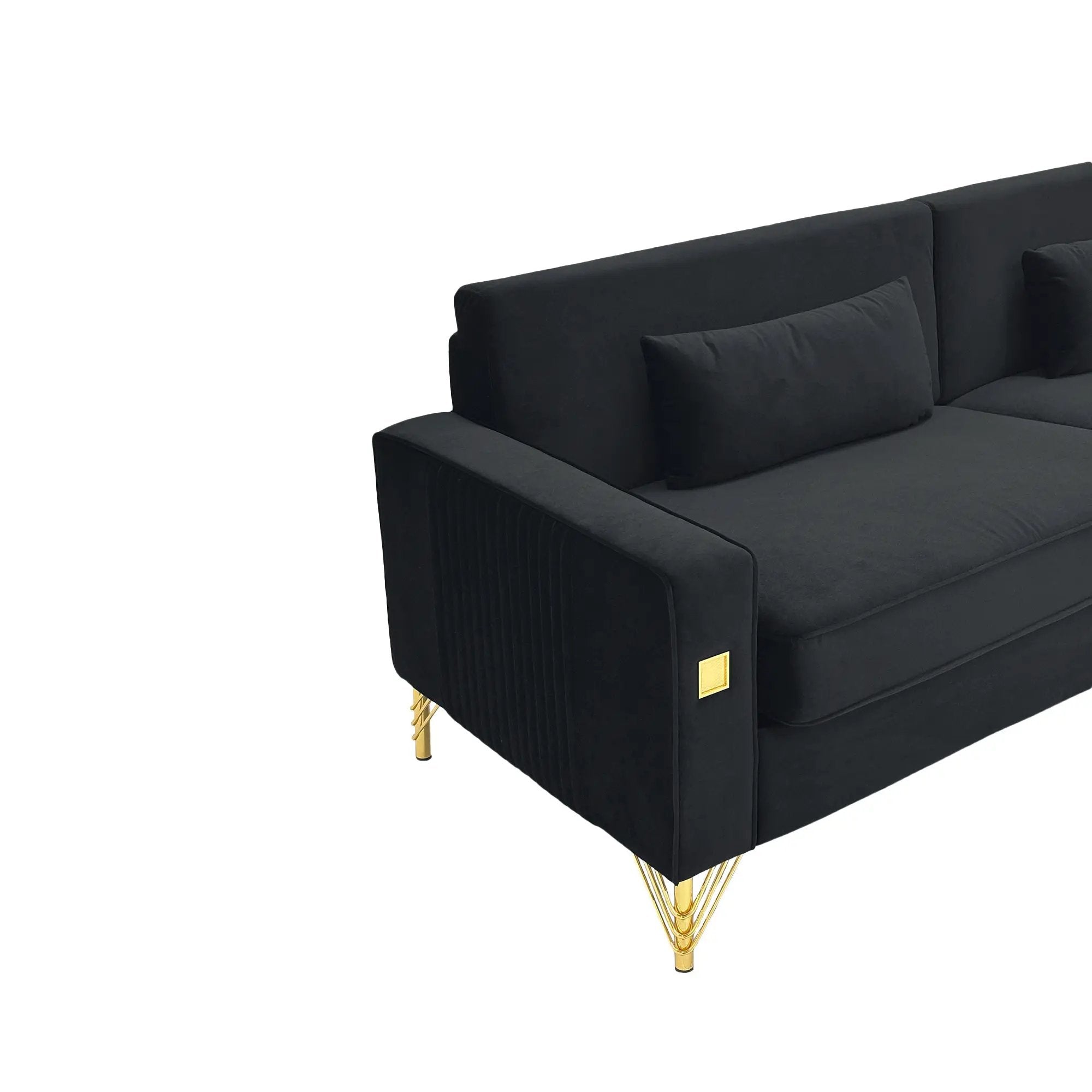 Black Velvet 2-Piece Sofa Set by HouseOfZazla