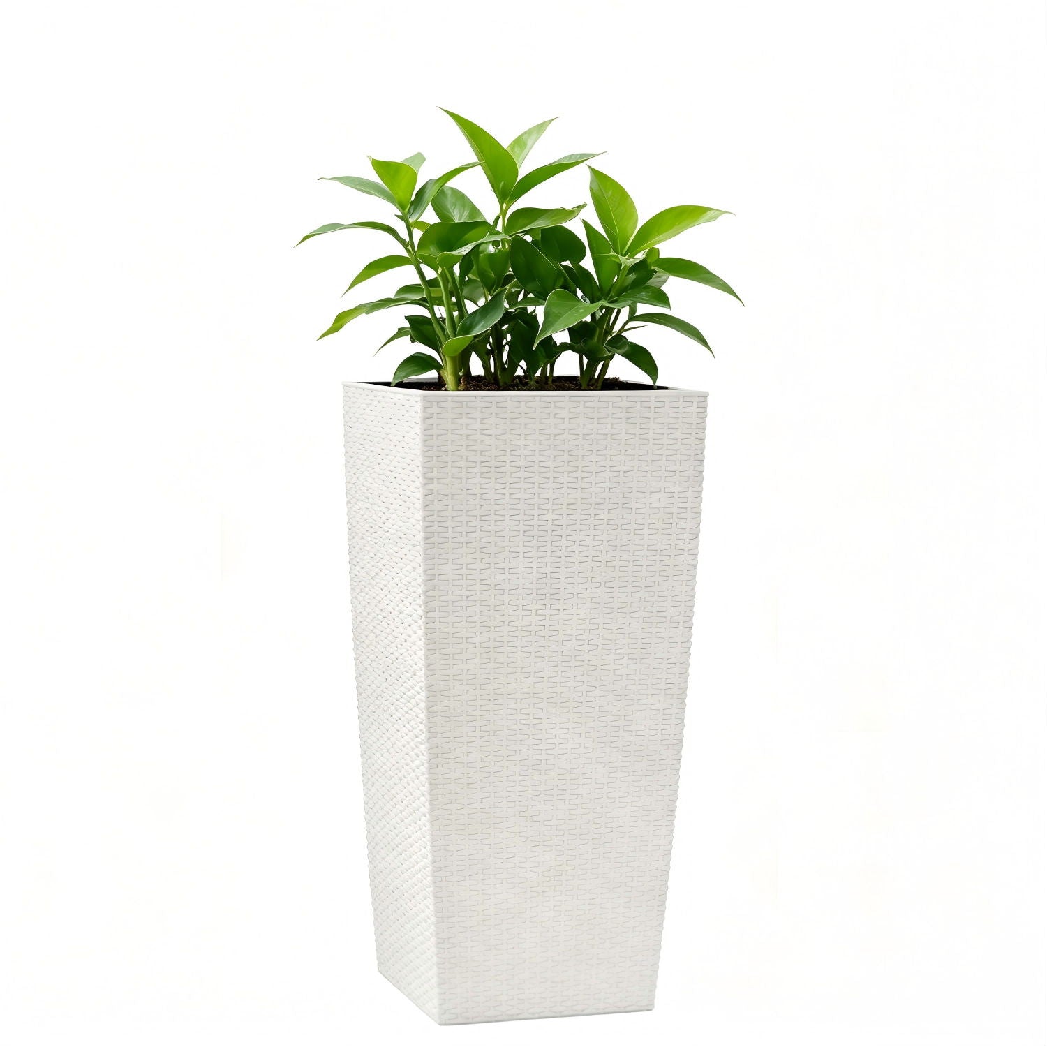 Indoor Outdoor Planter With Automatic Watering System by HouseOfZazla