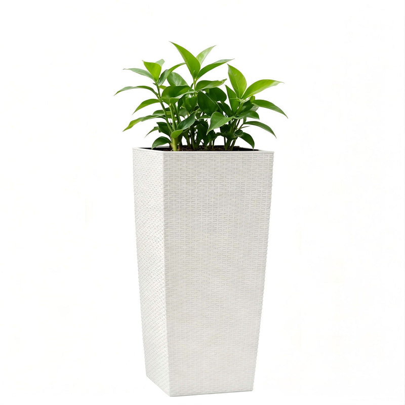 Indoor Outdoor Planter With Automatic Watering System by HouseOfZazla