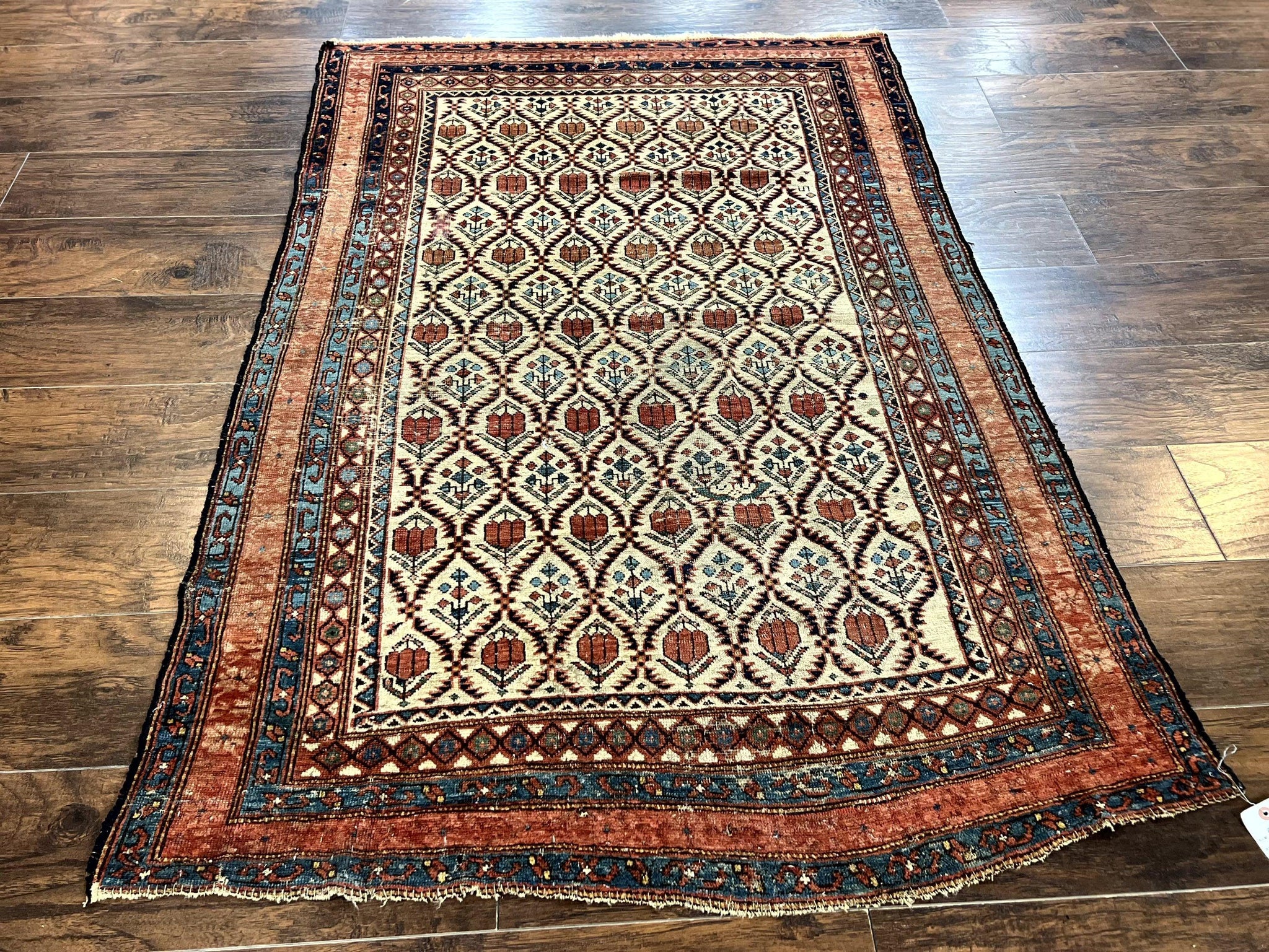 Antique Caucasian Rug 4x6, Hand Knotted Wool Carpet, Shirvan Rug by Jewel Rugs