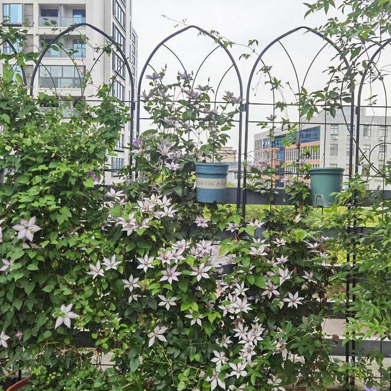 2 Pack Metal Garden Trellis 78.7" x 19.7" by HouseOfZazla