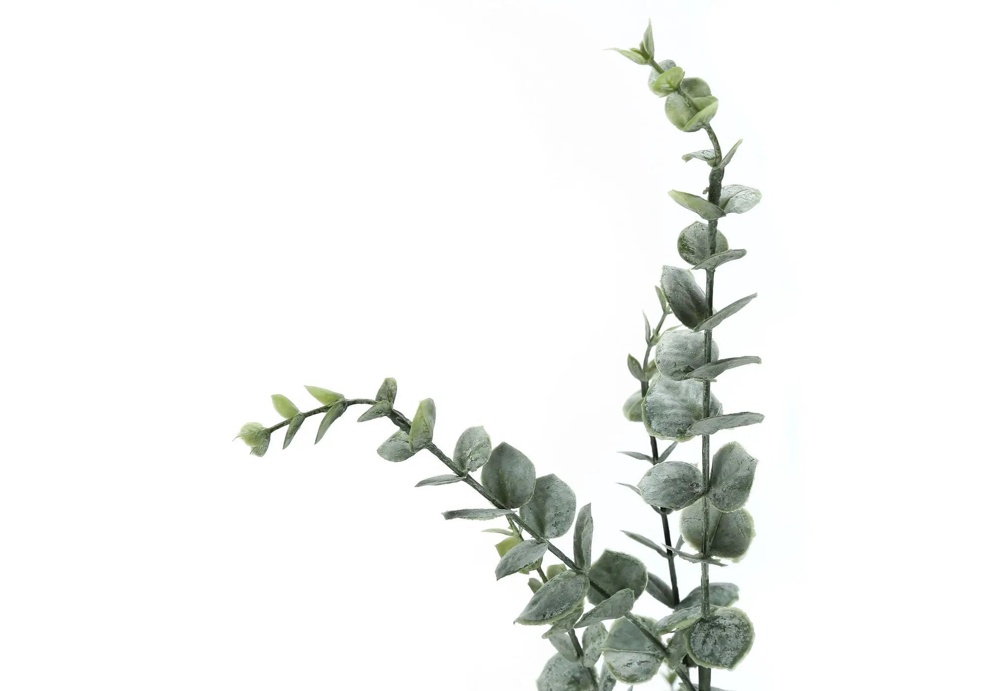44" Tall Artificial Eucalyptus Plant with Black Pot by HouseOfZazla