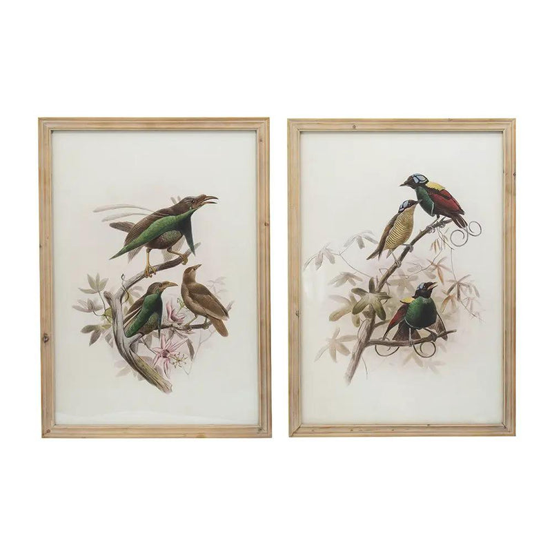 Bird Framed Print (Set of 2) - Multicolor by Unique Piece Furniture