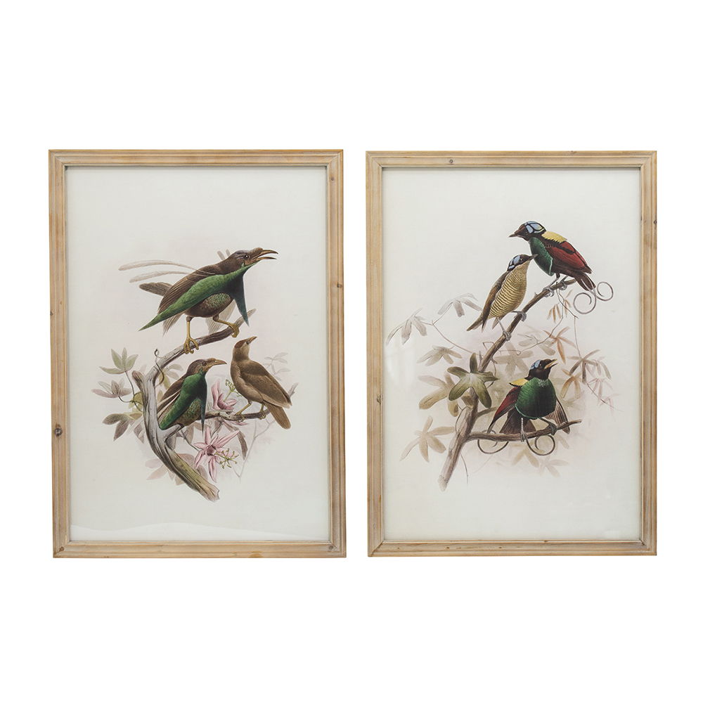 Bird Framed Print Set with Light Wood Frame - Multicolor, photo 11 of 13