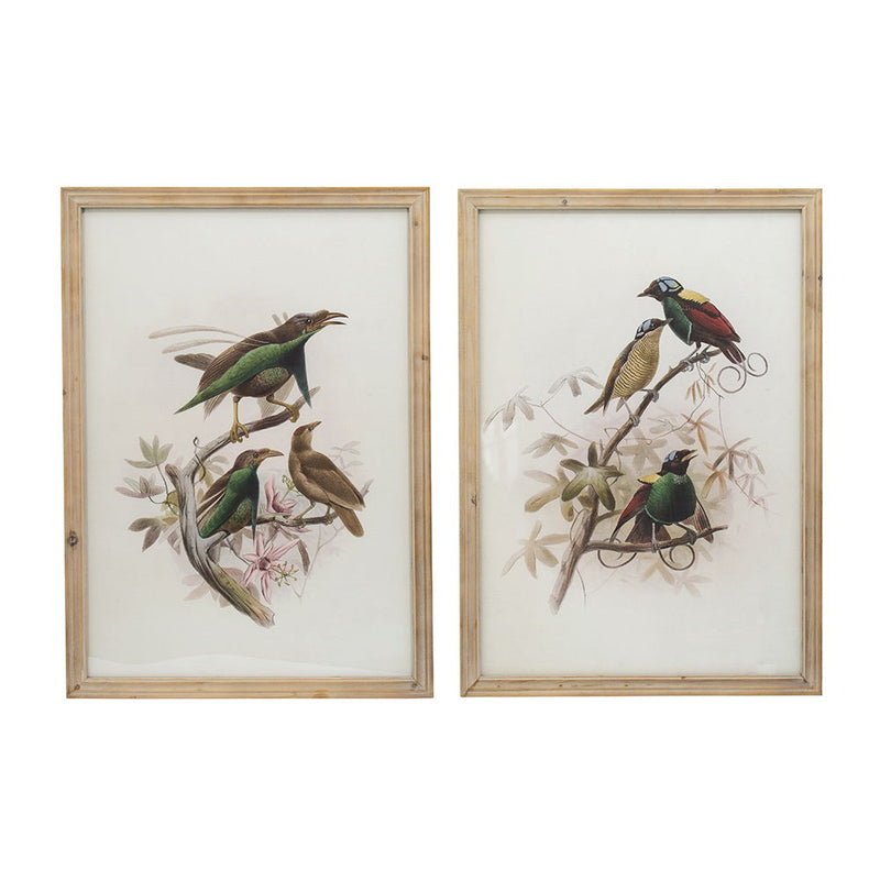 Bird Framed Print Set with Light Wood Frame - Multicolor, photo 11 of 13