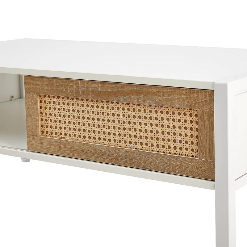 Modern Rattan Coffee Table with Sliding Door by HouseOfZazla