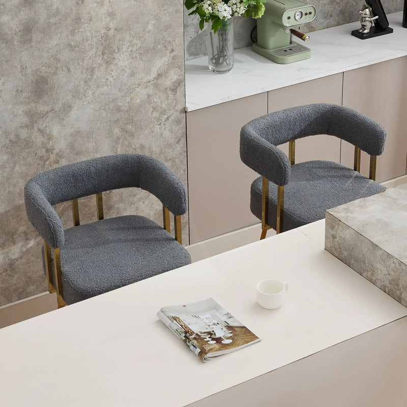 Decorative Upholstered Side Chair For Living Room (Set of 2) by HouseOfZazla